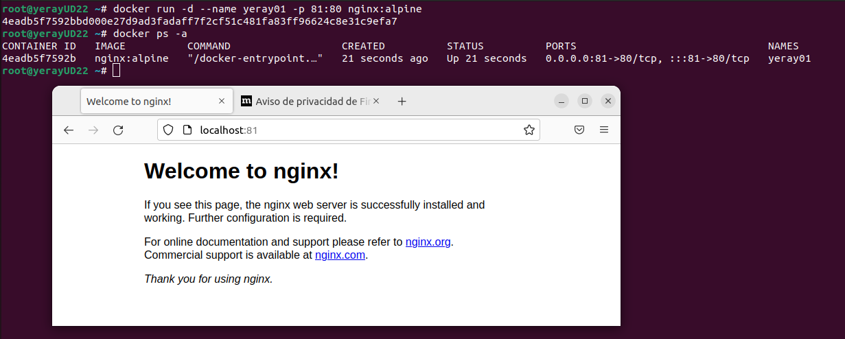 Contenedor Docker con nginx sobre Alpine, con el puerto expuesto y accesible desde el navegador